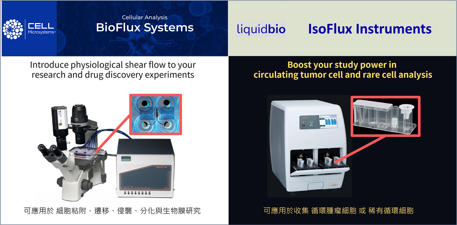 First slide